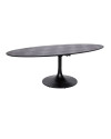 Обеденный стол Blax oval 250x120cm (арт.7550) Richmond