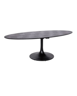 Dining Table Blax oval 250x120cm (арт.7550)