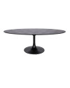 Обеденный стол Blax oval 250x120cm (арт.7550) Richmond