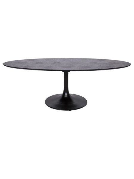 Обеденный стол Blax oval 250x120cm (арт.7550) Richmond