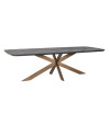 Dining Table Hayley 280x110cm (арт.7721) Richmond