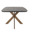 Dining Table Hayley 280x110cm (арт.7721) Richmond