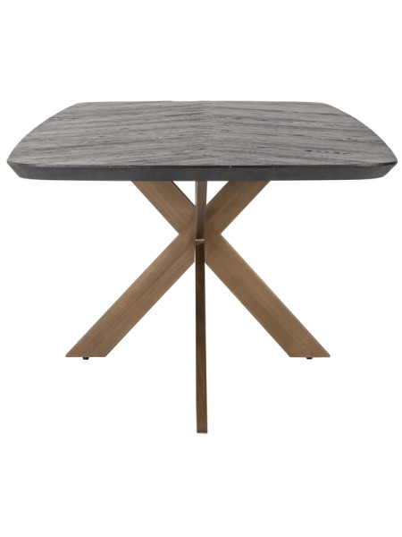 Dining Table Hayley 280x110cm (арт.7721) Richmond