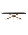 Dining Table Hayley 280x110cm (арт.7721) Richmond