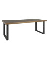 Обеденный стол Bloomville 200x100cm (арт.7527) Richmond