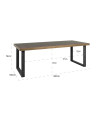 Обеденный стол Bloomville 200x100cm (арт.7527) Richmond