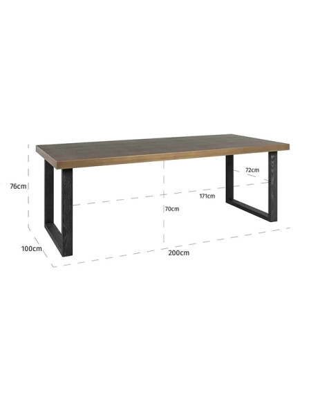 Обеденный стол Bloomville 200x100cm (арт.7527) Richmond