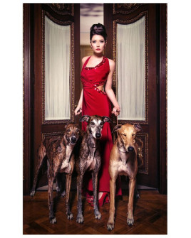Print DEVILA 306х206cm (VC-28330)
