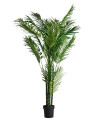 Рослина PALMERA H210cm (VH-27318) Vical Home