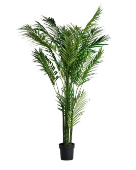 Рослина PALMERA H210cm (VH-27318)