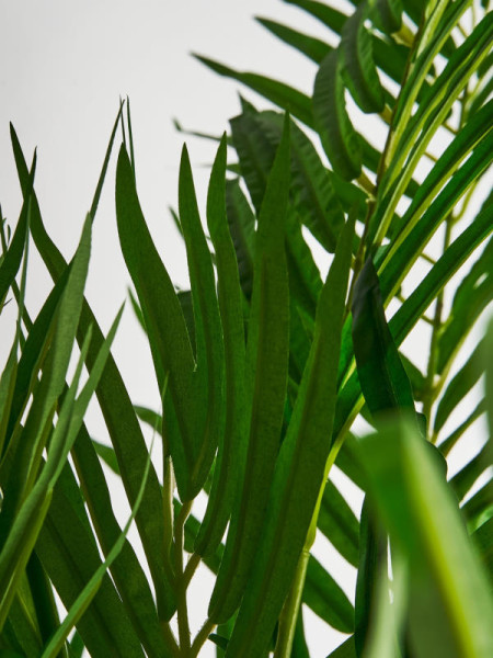 Рослина PALMERA H210cm (VH-27318) Vical Home