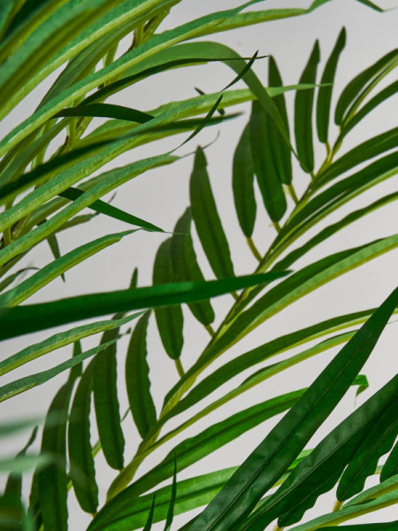 Рослина PALMERA H210cm (VH-27318) Vical Home