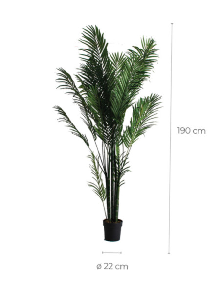 Рослина PALMERA H210cm (VH-27318) Vical Home