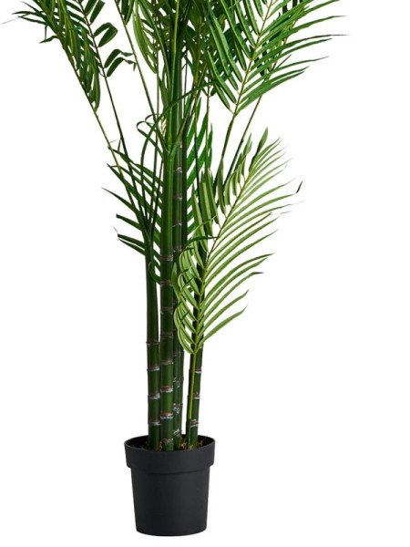 Рослина PALMERA H210cm (VH-27318) Vical Home