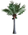 Рослина PALMERA H550cm (VH-27416) Vical Home