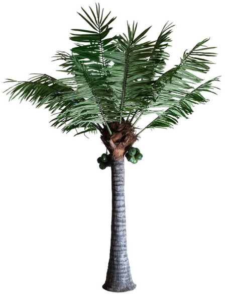 Рослина PALMERA H550cm (VH-27416) Vical Home