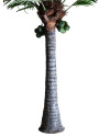 Рослина PALMERA H550cm (VH-27416) Vical Home