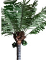 Рослина PALMERA H550cm (VH-27416) Vical Home
