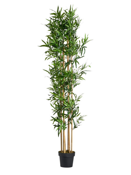 Artificial Plant BAMBU H190cm Vical Home