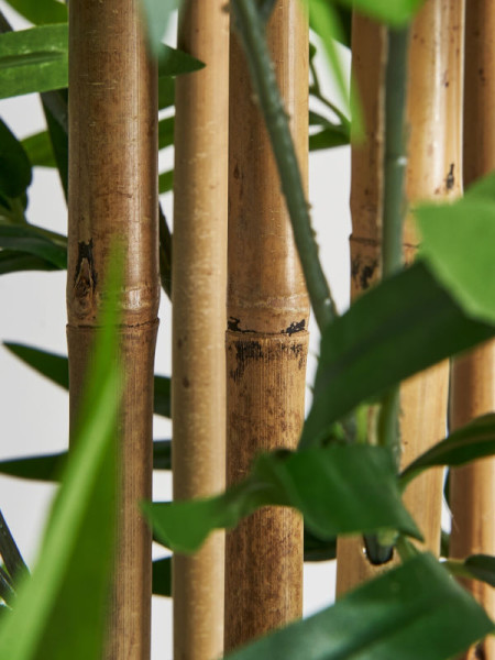 Artificial Plant BAMBU H190cm Vical Home