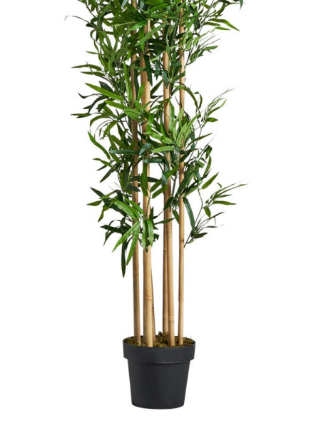 Artificial Plant BAMBU H190cm Vical Home