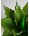 Растение LOTUS H45cm Vical Home