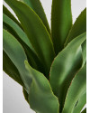 Растение YUCCA H65cm Vical Home