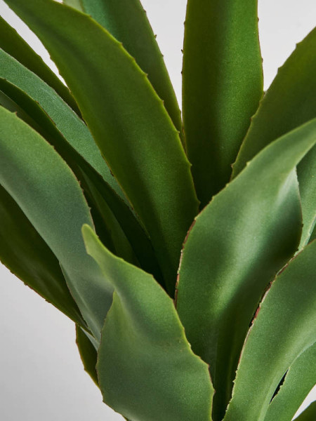 Растение YUCCA H65cm Vical Home