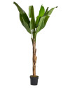 Растение BANANERA H165cm (VH-29115) Vical Home