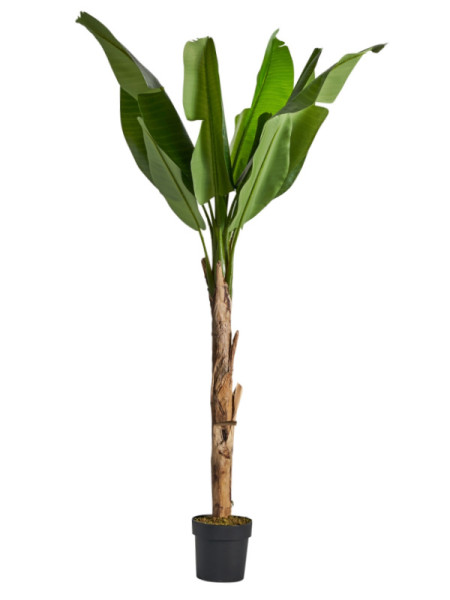 Растение BANANERA H165cm (VH-29115) Vical Home