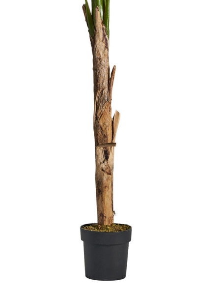 Растение BANANERA H165cm (VH-29115) Vical Home