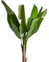 Растение BANANERA H165cm (VH-29115) Vical Home