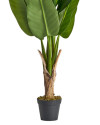 Растение BANANERA H145cm (VH-29116) Vical Home