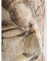 Deco Object ROBIN H22cm (арт.24874) Vical Home