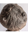 Bust JEMEI H45cm (арт.35531) Vical Home