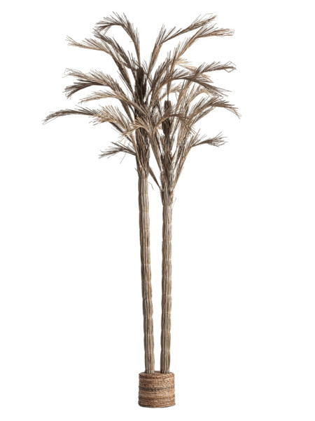 Напольный арт-объект ARECA PLANT H250cm Vical Home