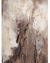 Canvas ERIC 150x150cm Vical Home