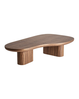 Coffee Table DUBI 120x70cm