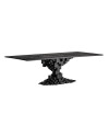 Обеденный стол PETRIA 290x125cm Vical Home
